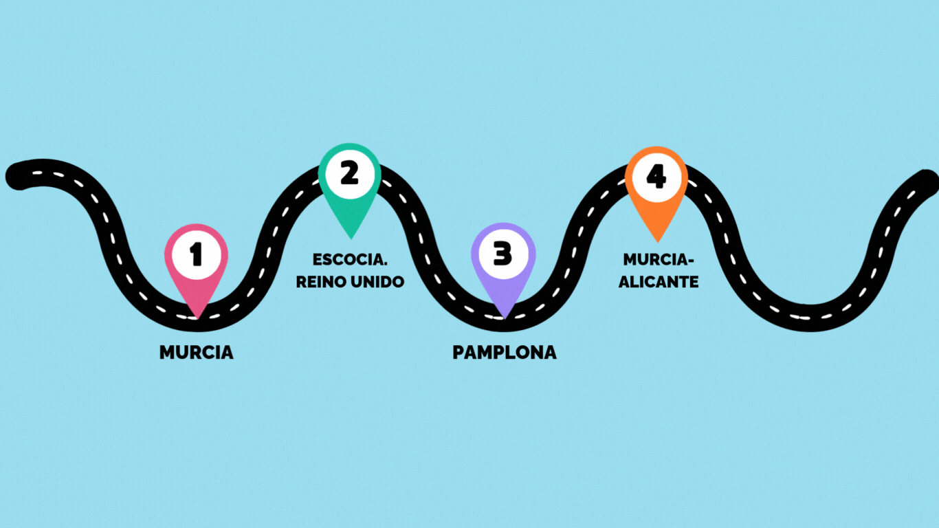 Recorrido profesional